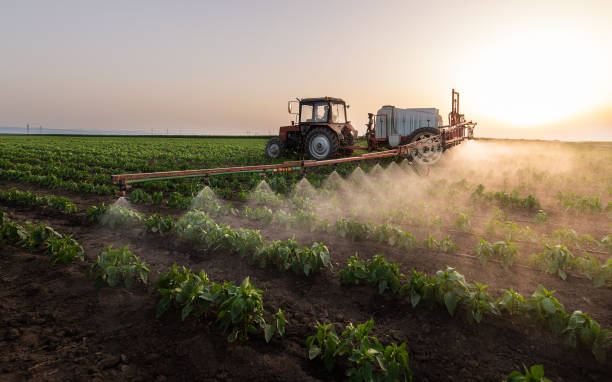 Best Pest Control Treatment  in White City, UT