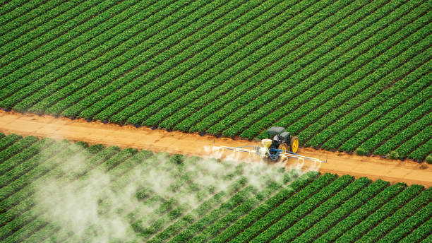 Best Mosquito Control Services  in White City, UT