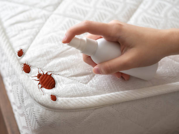 Best Commercial Pest Control Services  in White City, UT